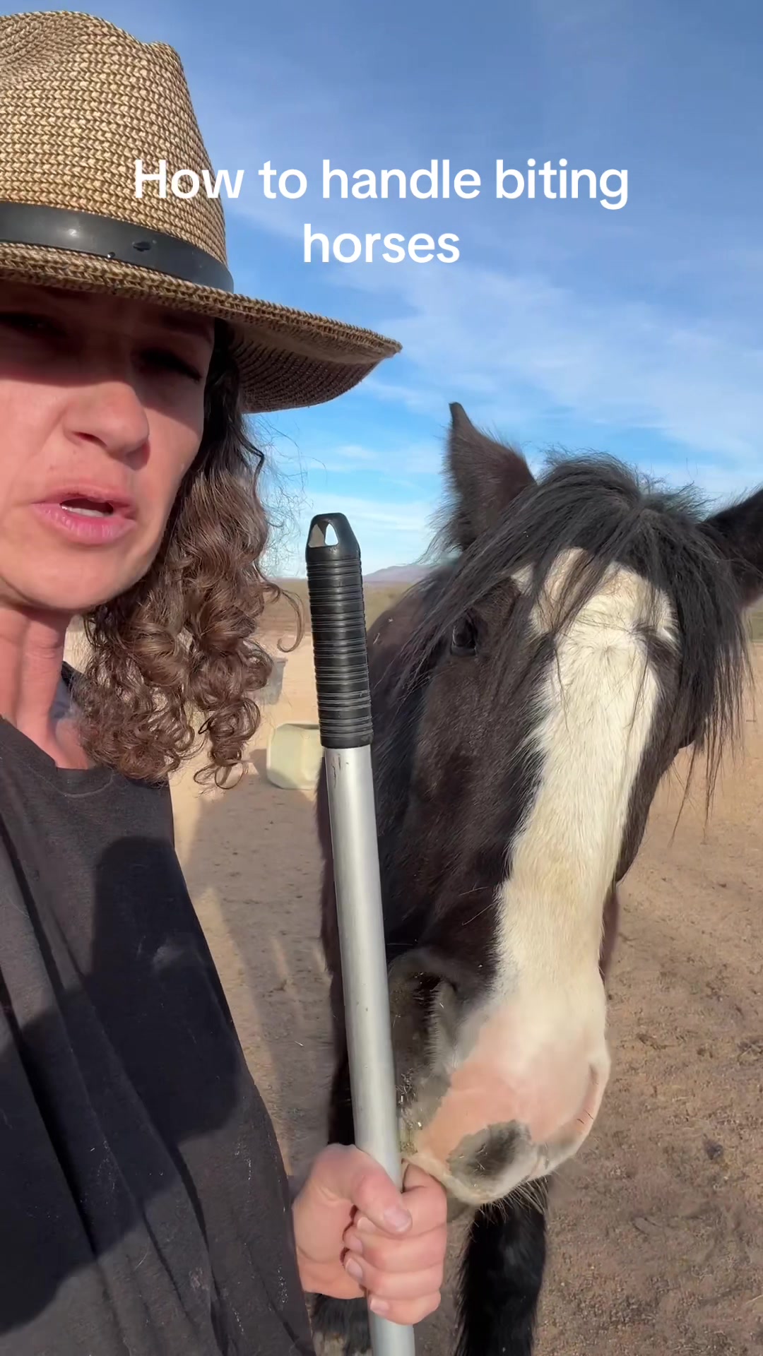 @Apache Powder Ranch