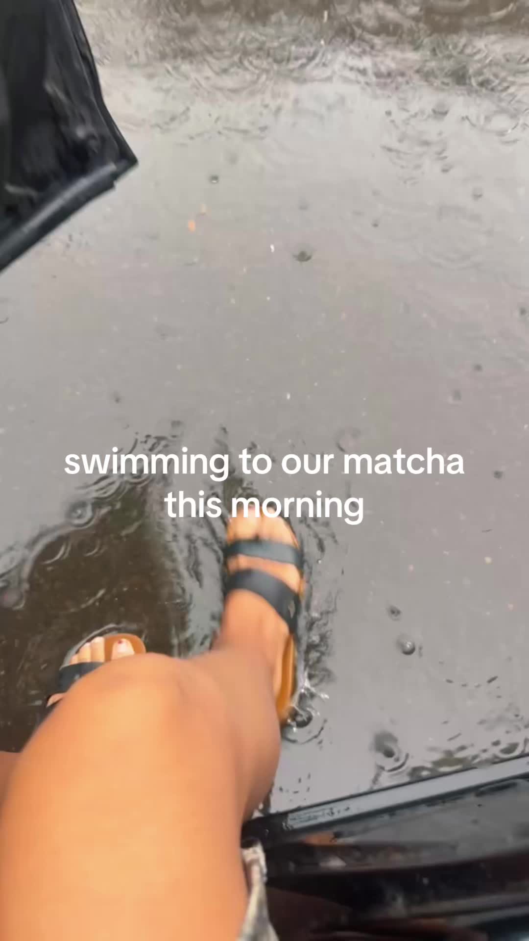 @bella