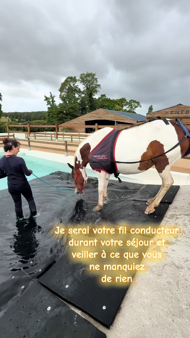 @Centre BienEtre Equin & Canin
