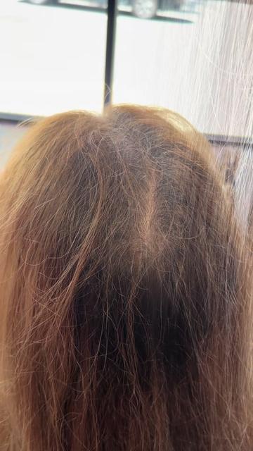 @hairstylingdoglady