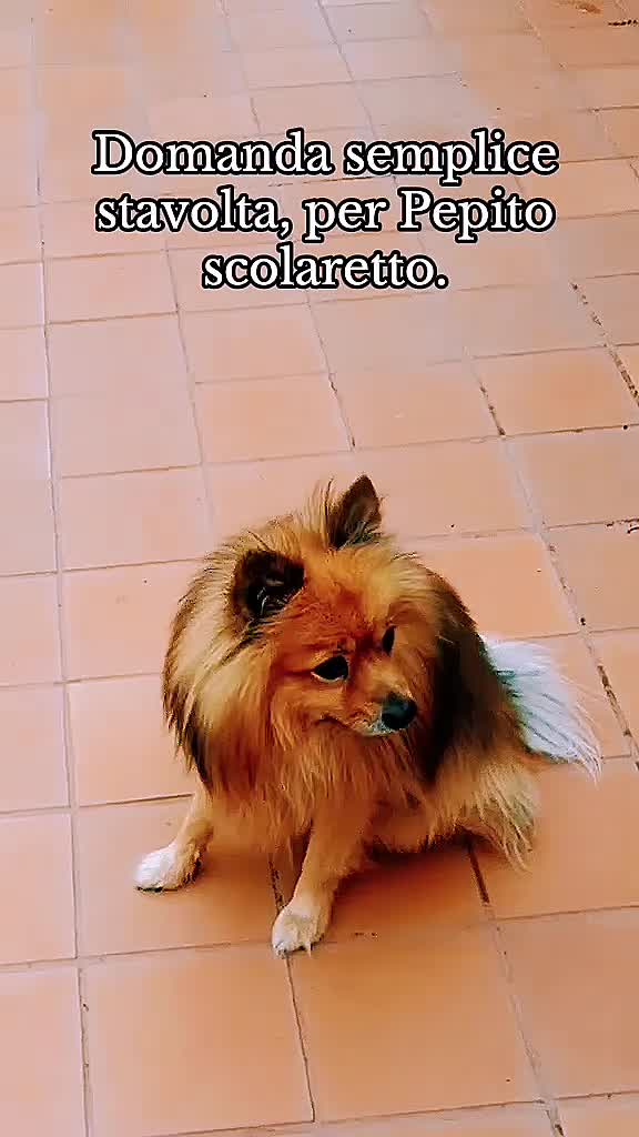 @Pepito