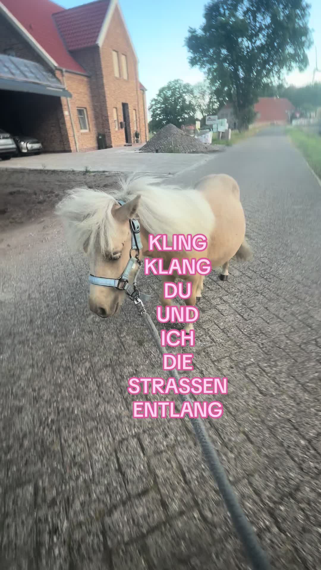 @Alina