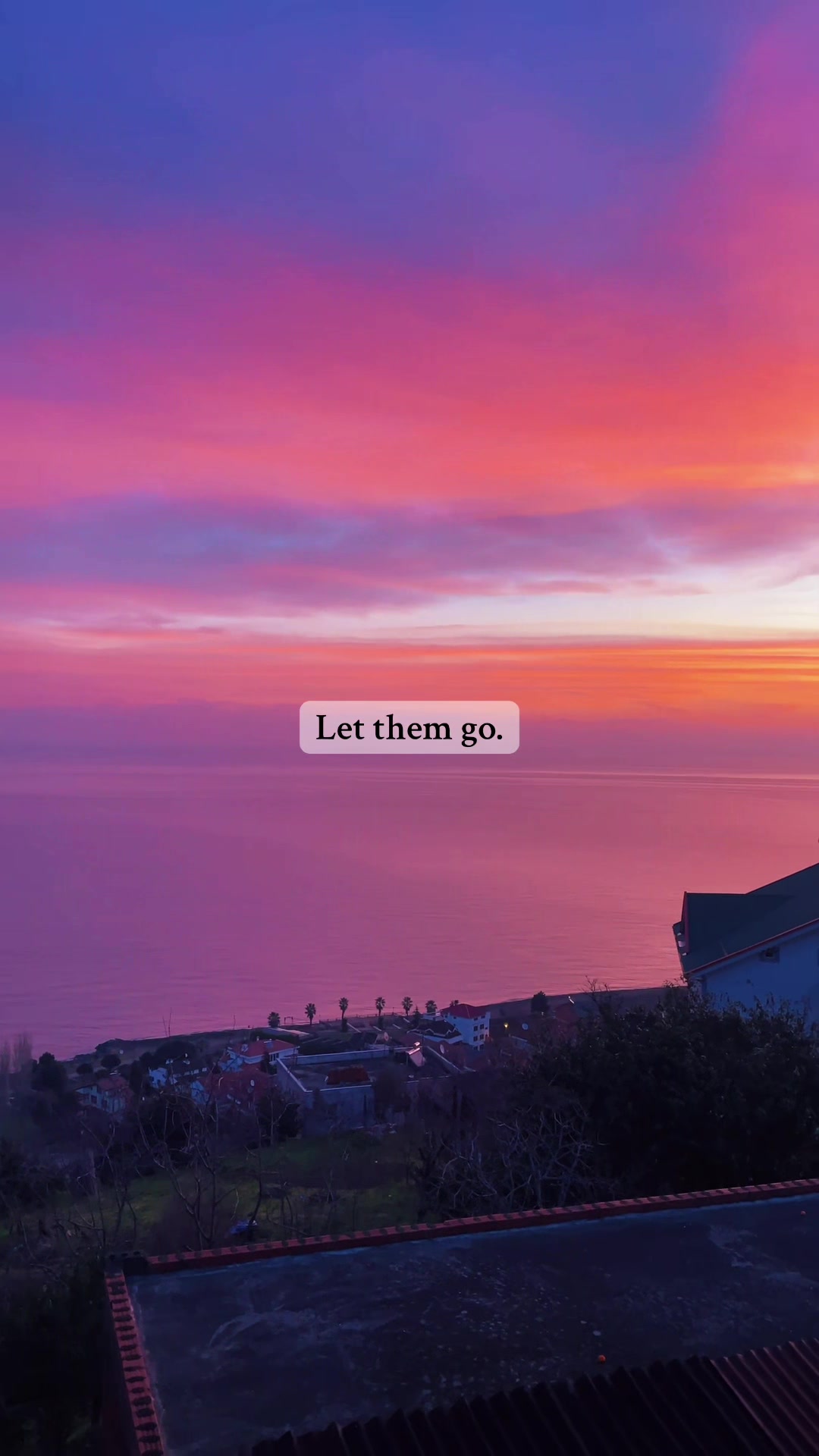 @Daily Inspiration