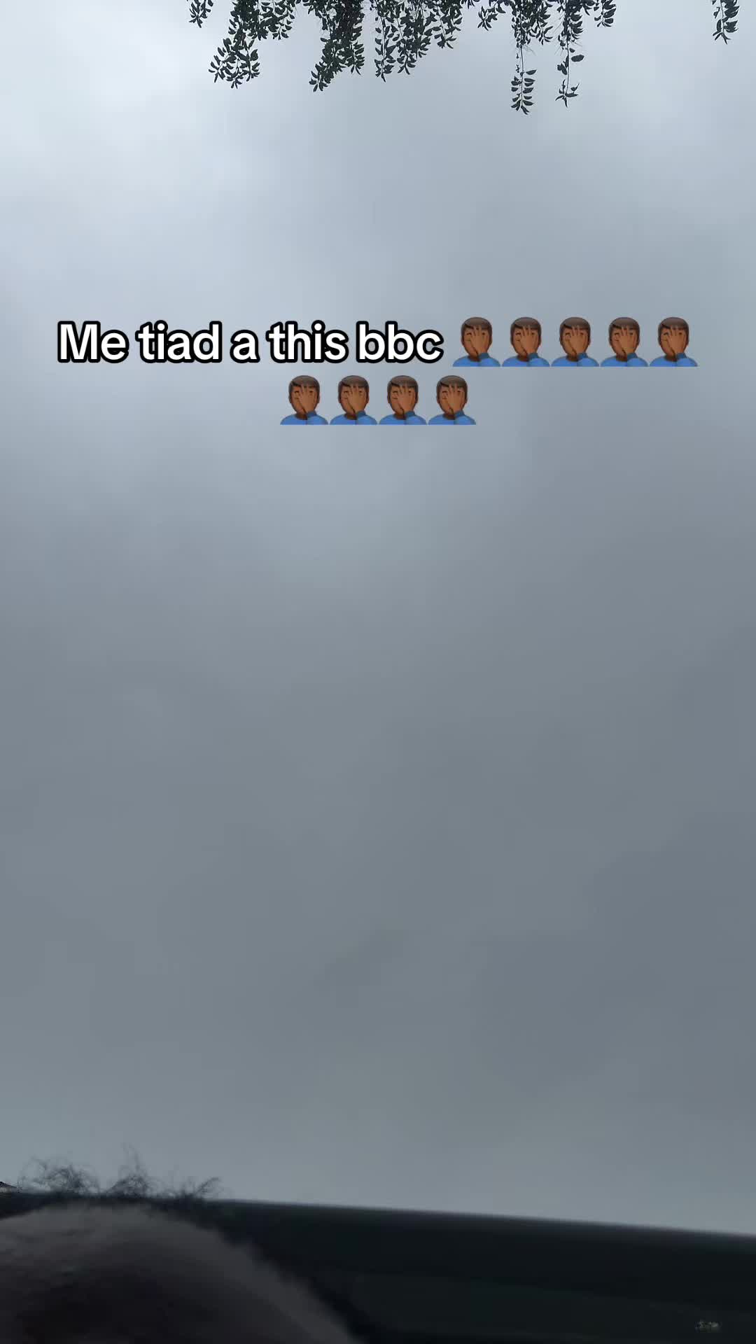 @Crawbup ๐ฏ๐ฒ๐ฏ๐ฒ๐ฏ๐ฒ๐ฏ๐ฒ