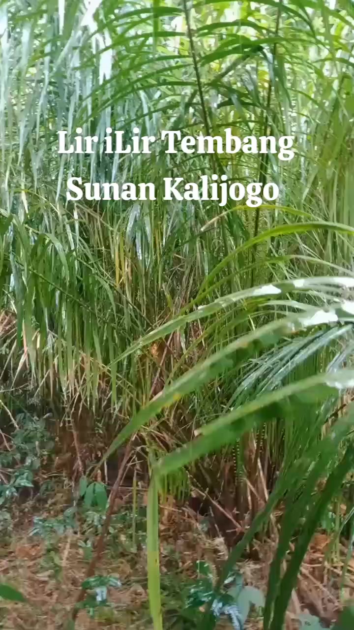 @Kendi Banyu 99