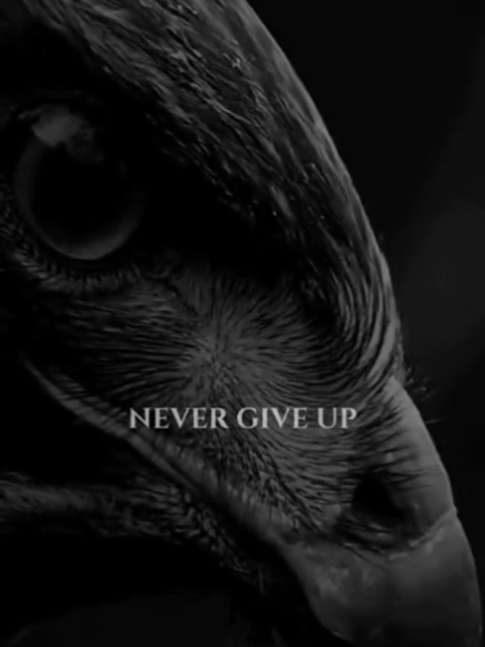 @Birddaddy🦜🦉🦅