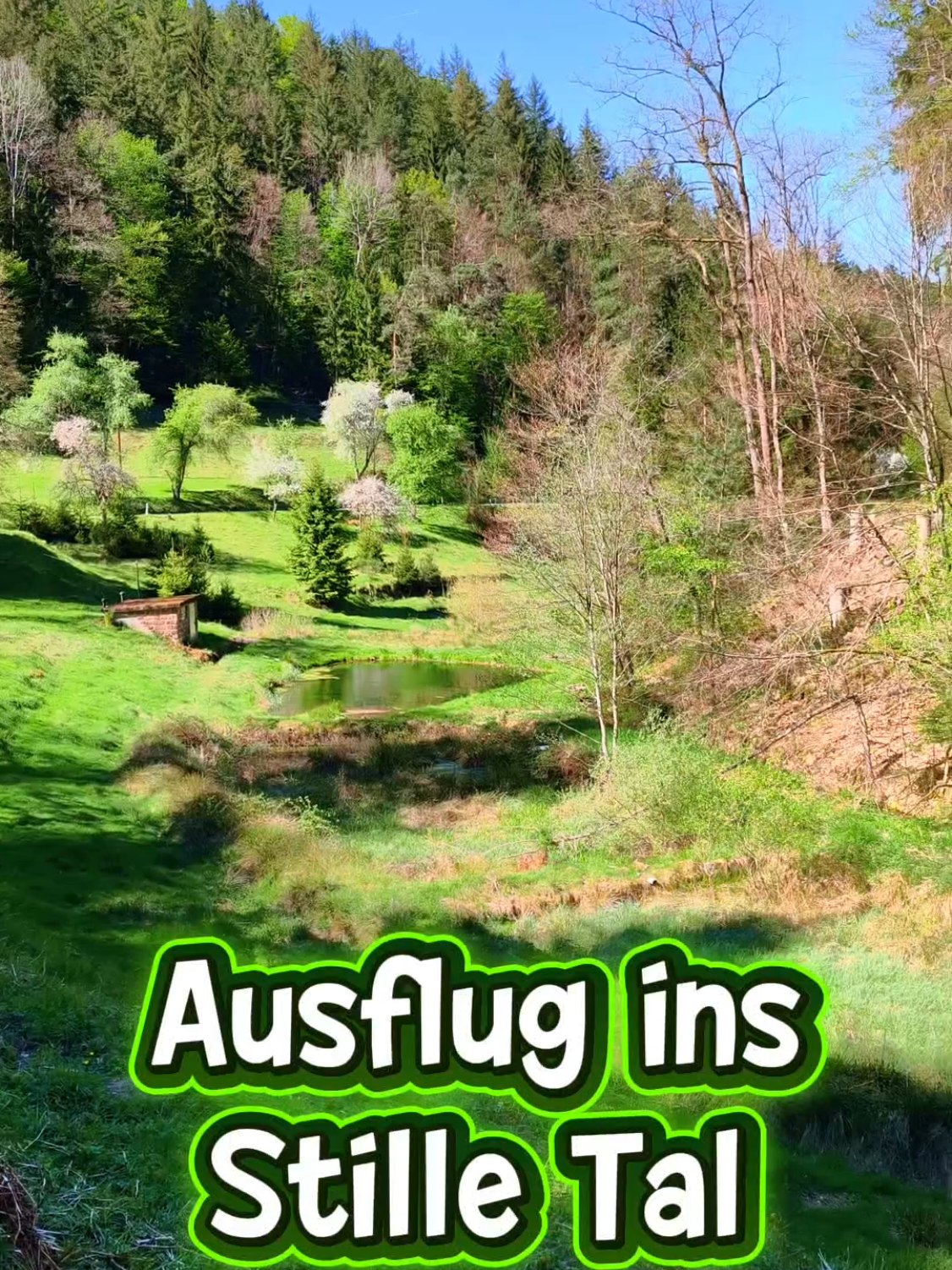 @ICH BIN'S