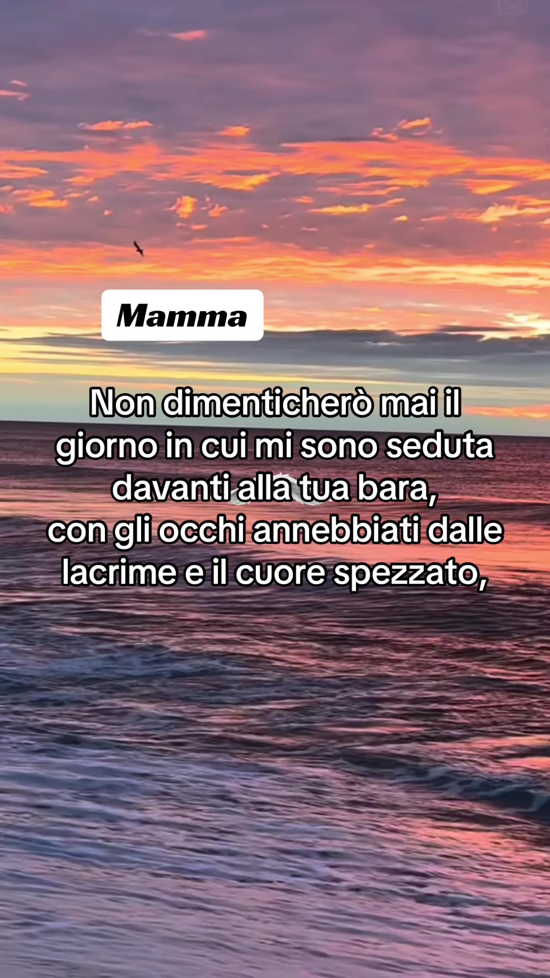 @PRI77