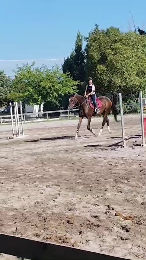 @giuliaaa