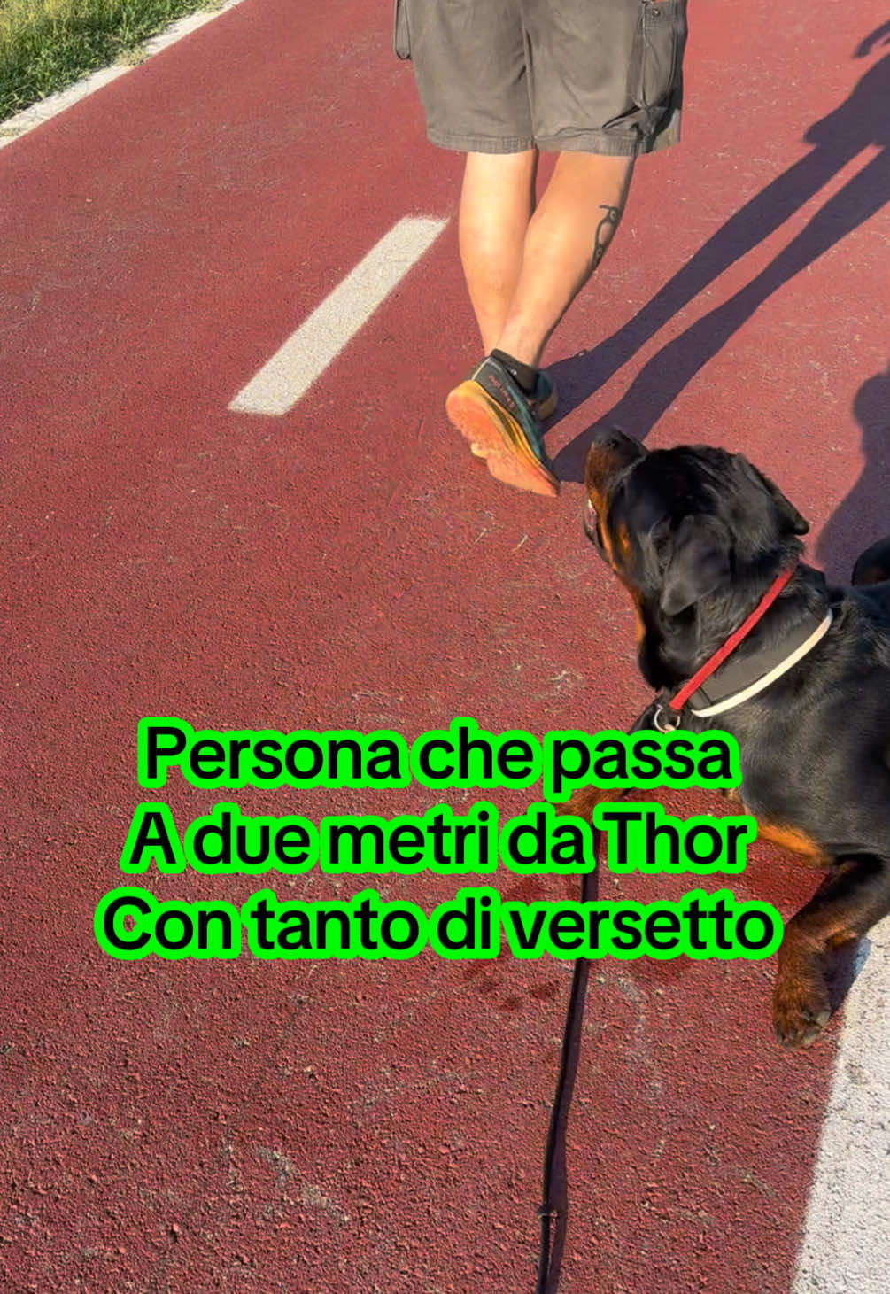 @Le avventure di Thor 🌪️ w ❤️