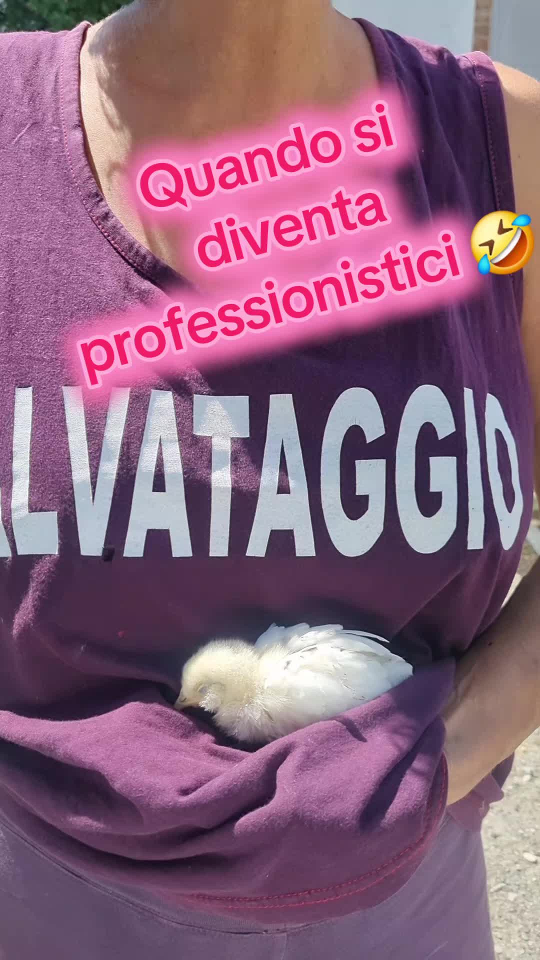 @Il leone e la gallina