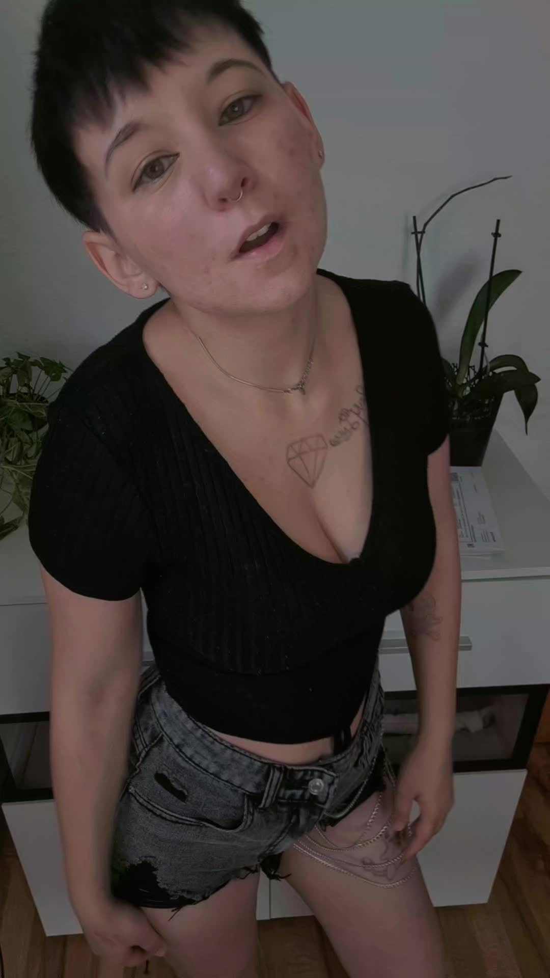 @Nachtfalter🦋