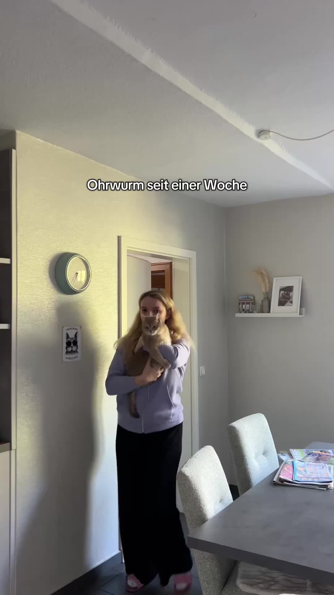 @DorfTok