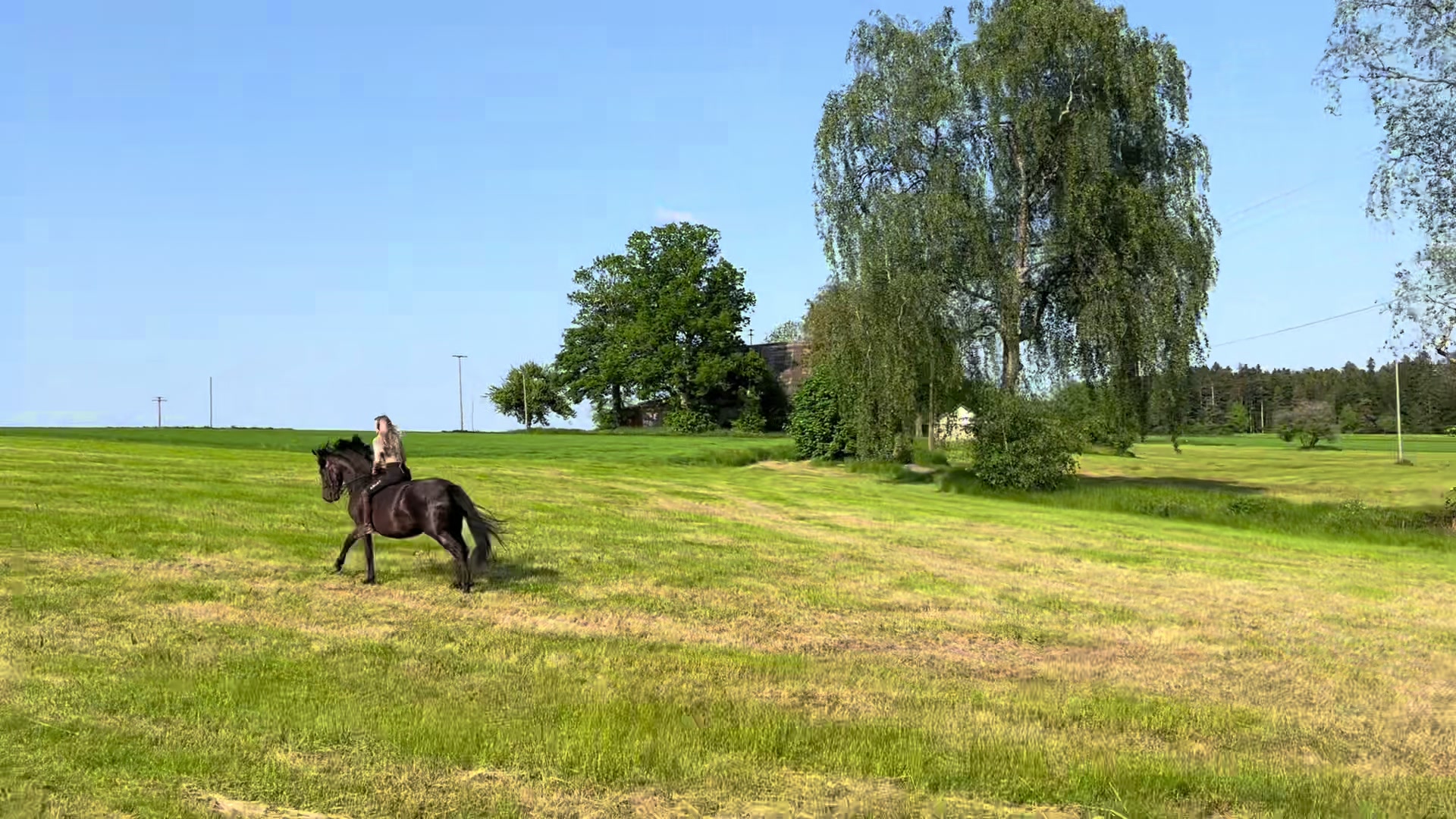 @Alena🤠