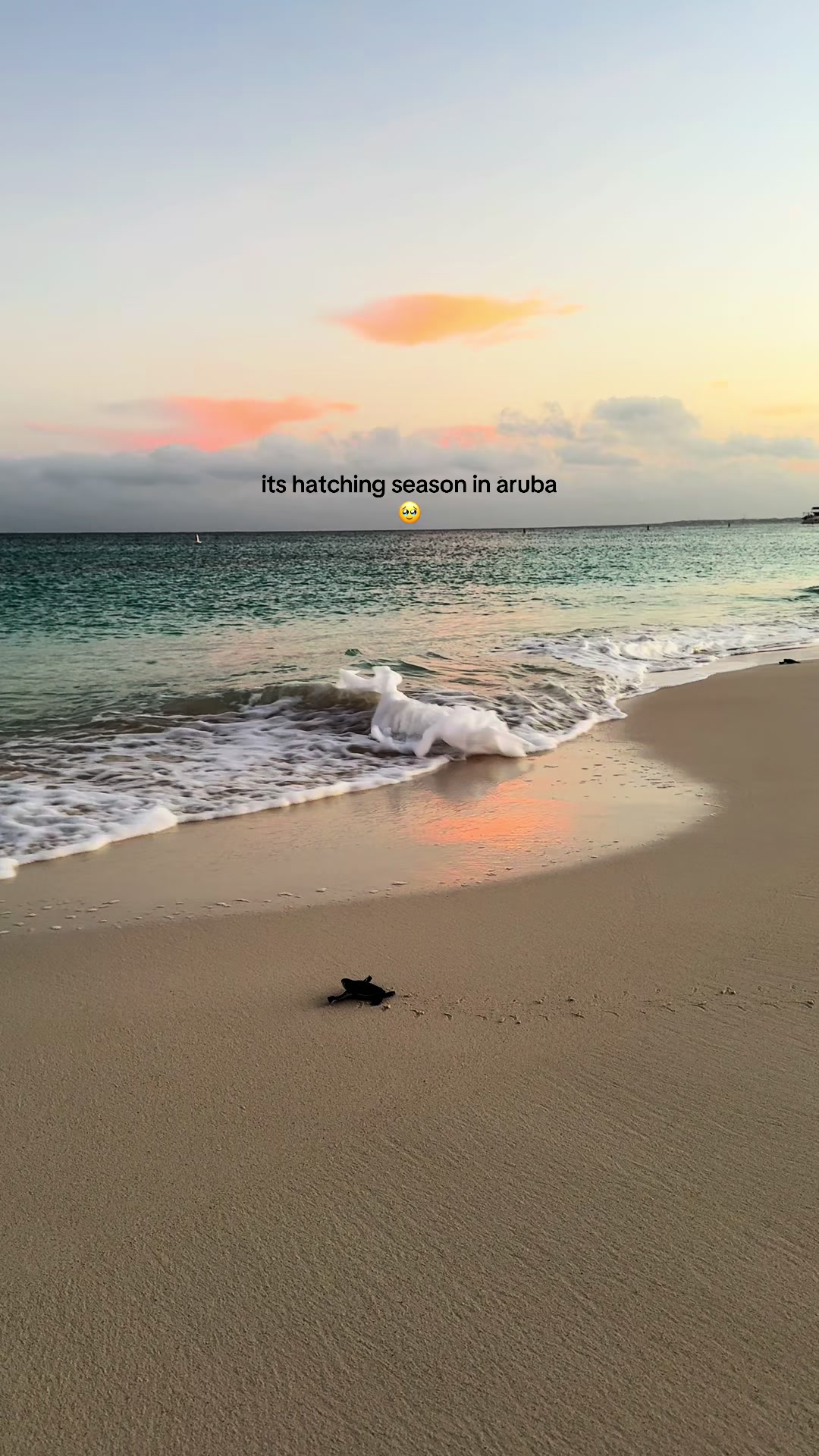 @beytoultravels