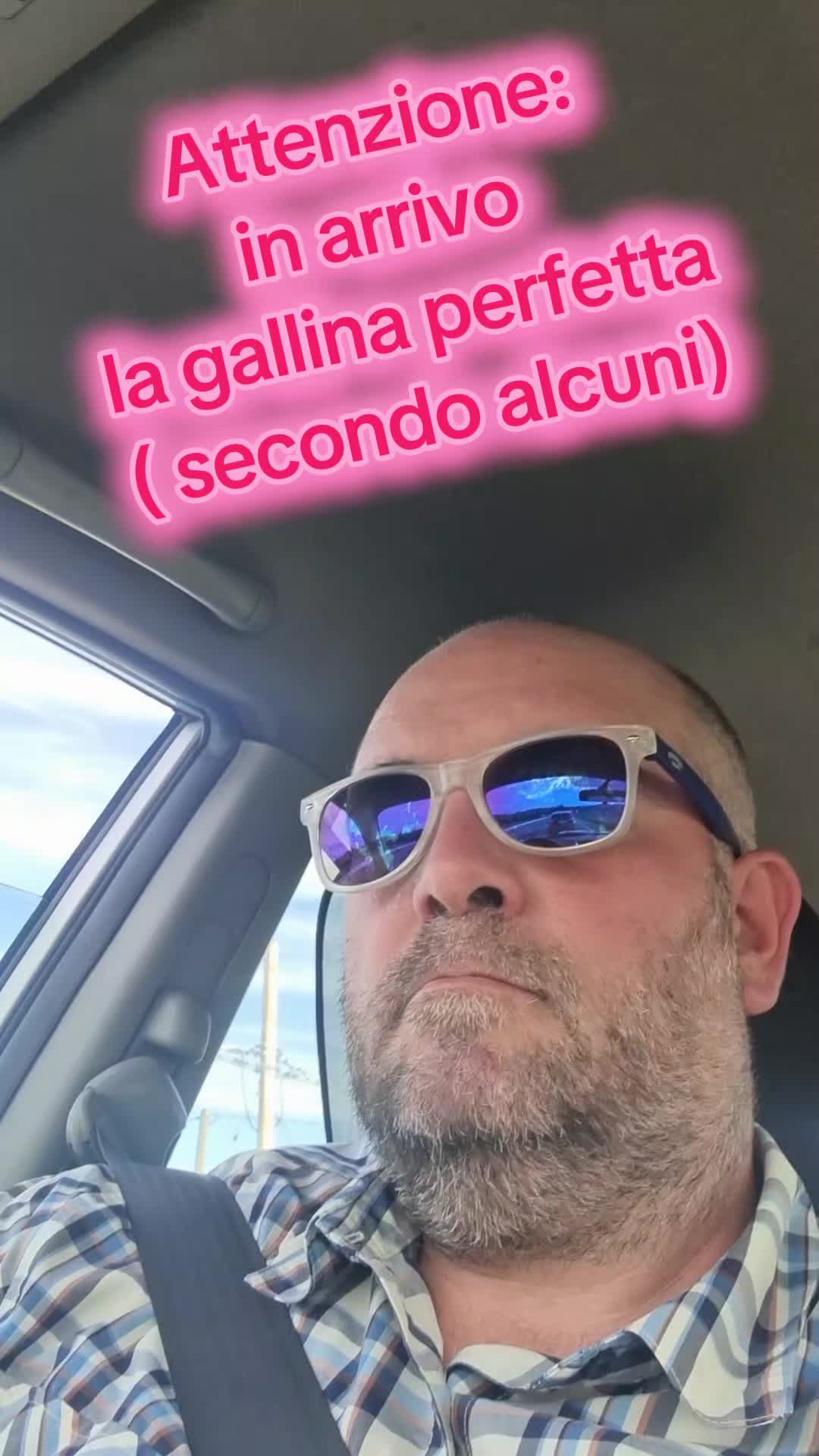 @Il leone e la gallina