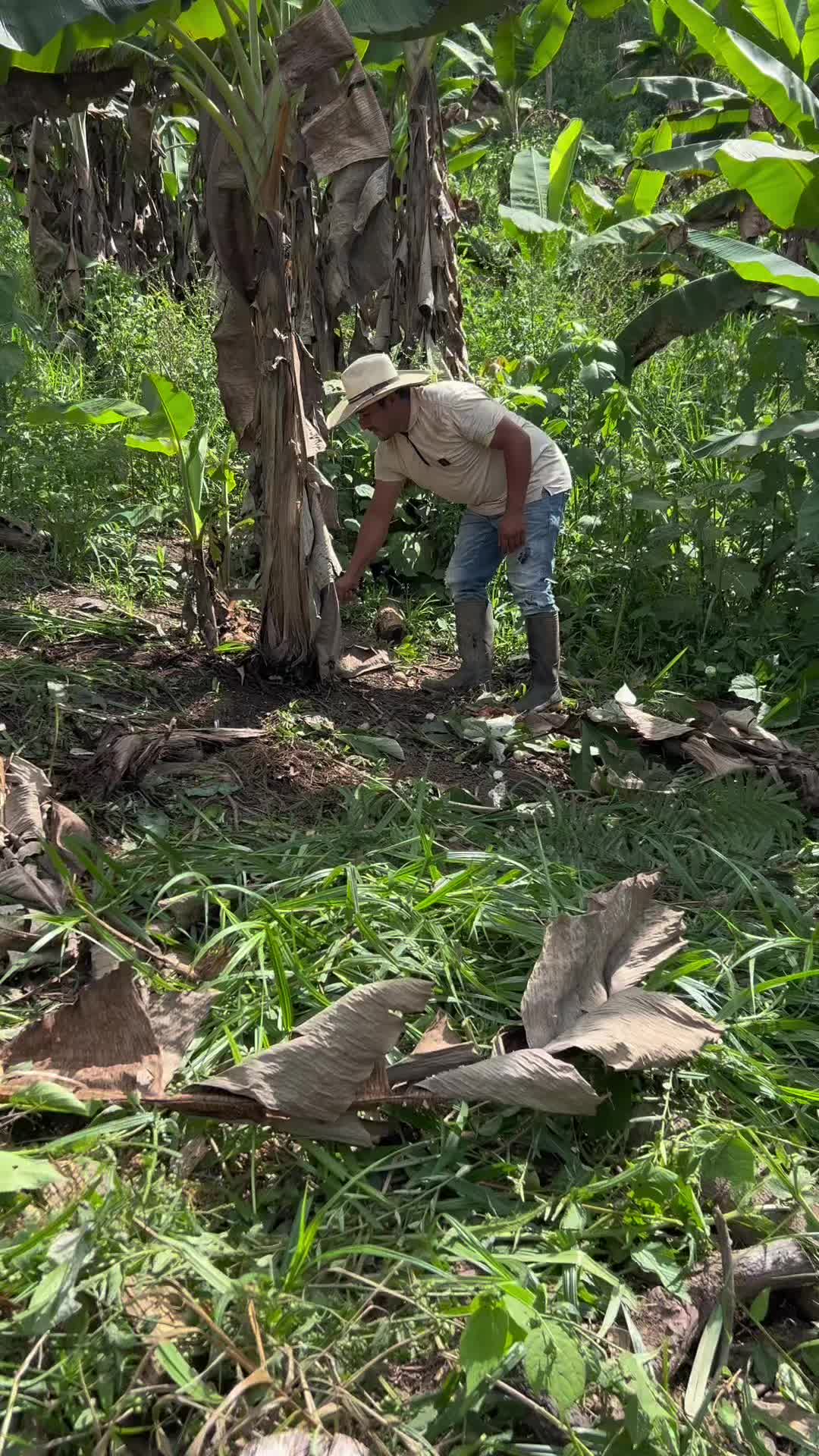 @Alfredo Parra oficial1