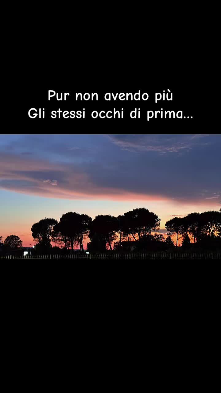 @Elisa~🖤