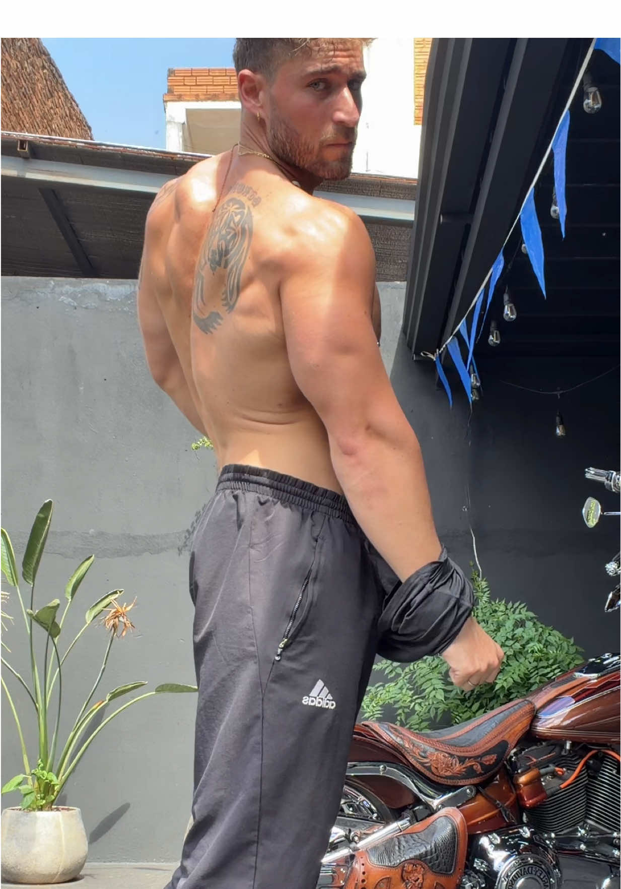 @dragospinato_