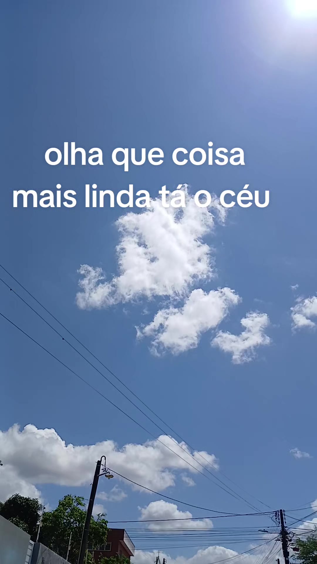 @paula🐱