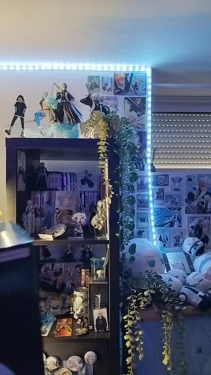 @Hitsugaya