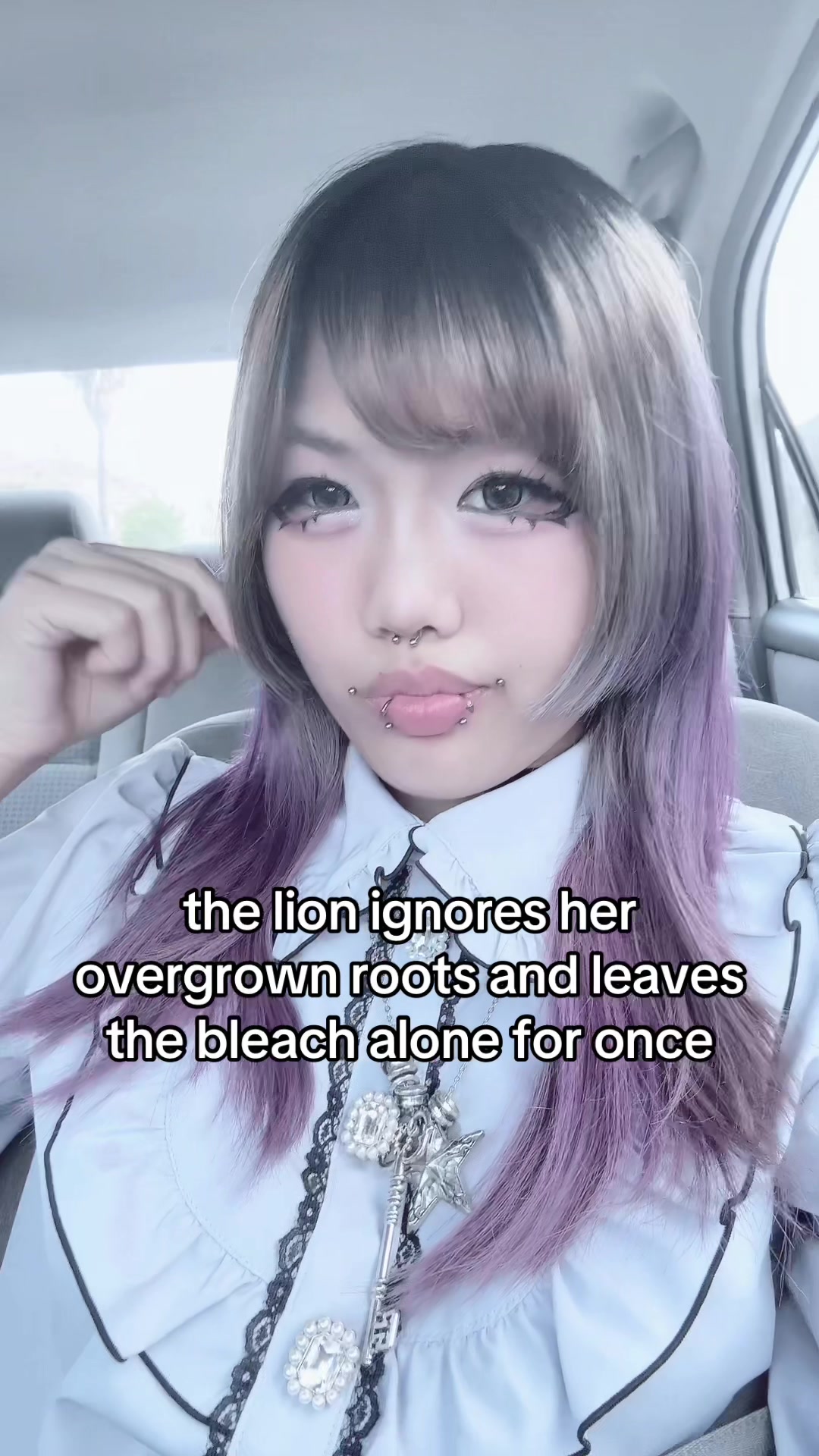 @珍 ᥫ᭡