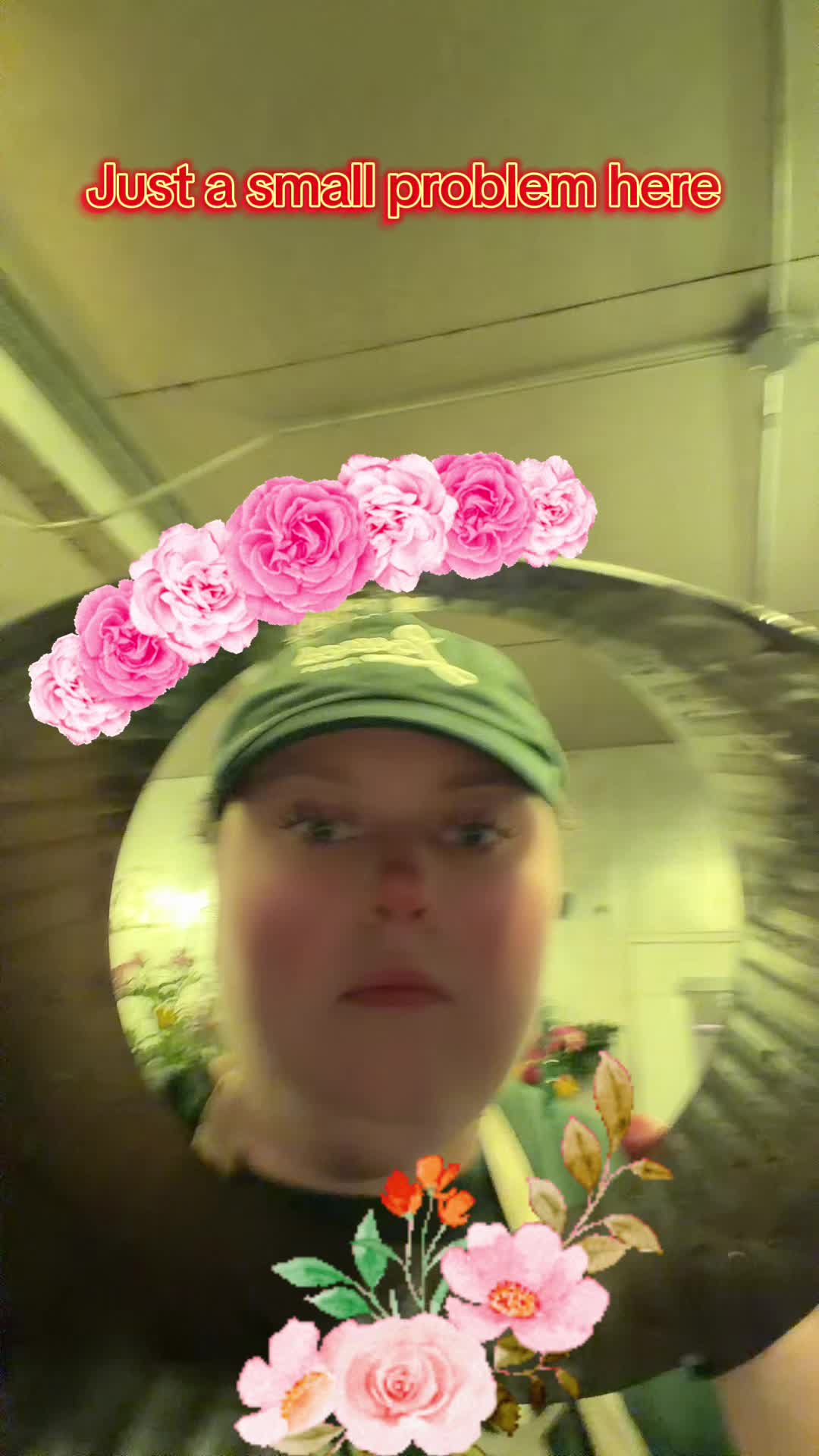 @user7333533117459