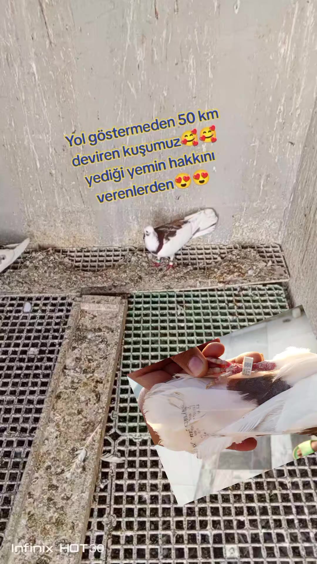@zuzu20