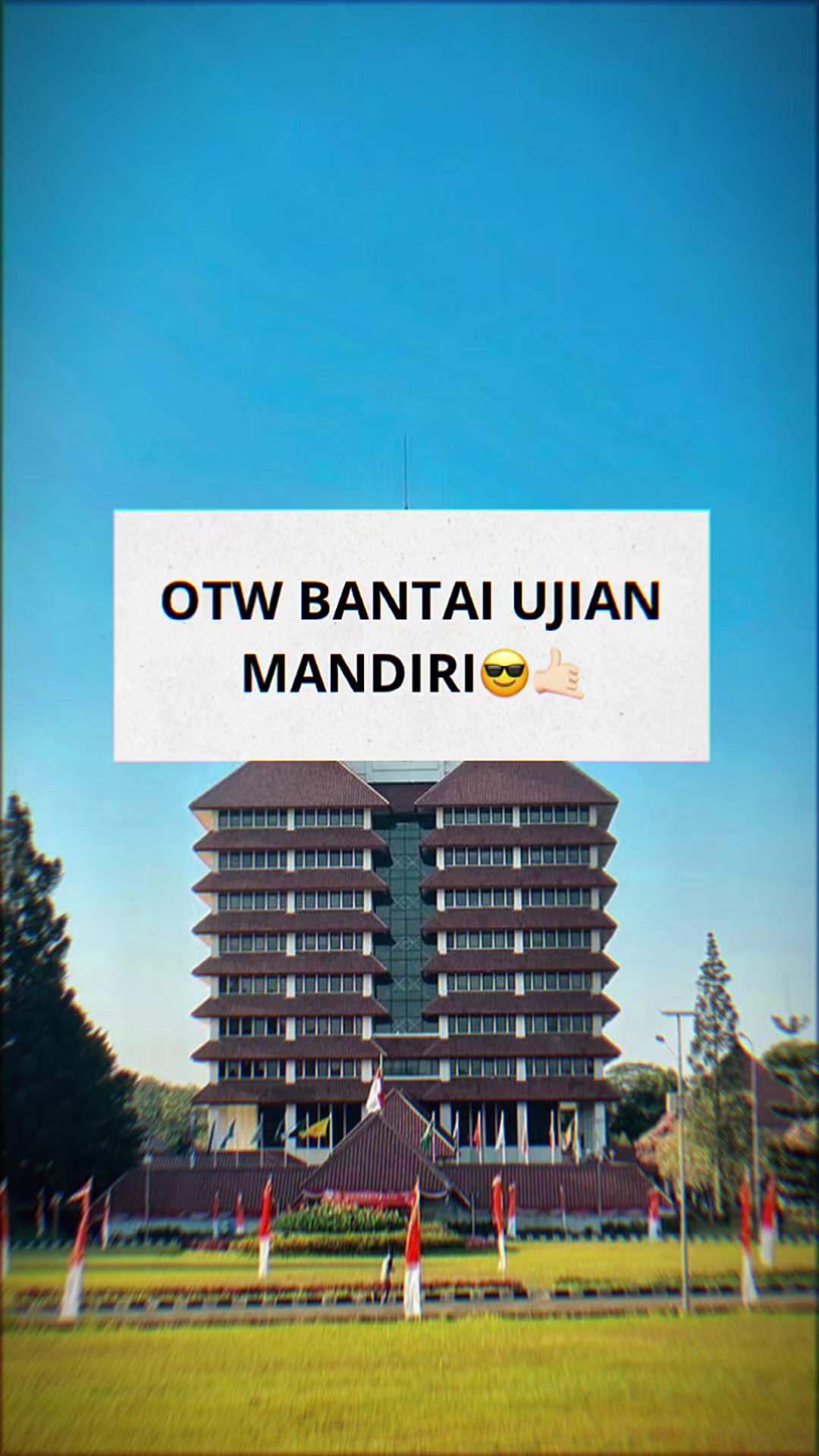 @ambis.ptn