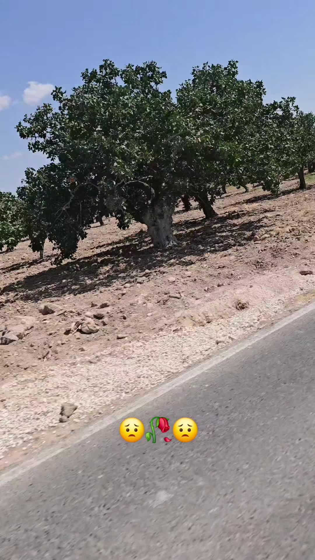 @{♤&♧}😭(HASRETİM😥SANA😭)