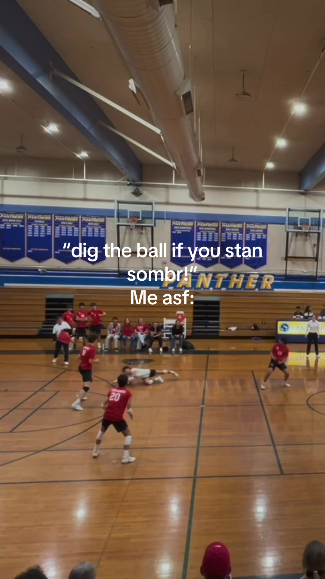 @leo.vb