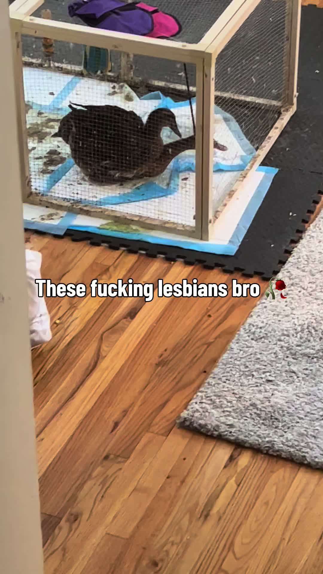 @Con