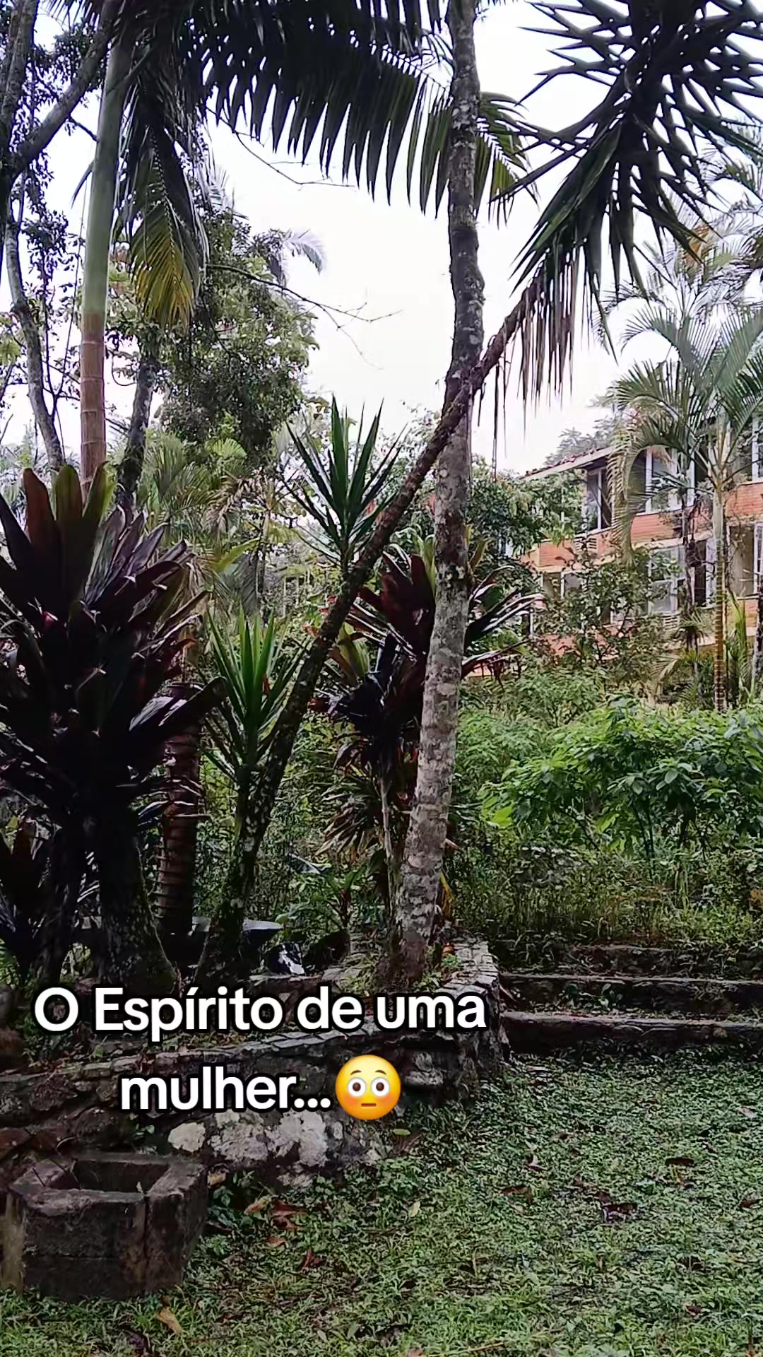 @Frequencia Sobrenatural