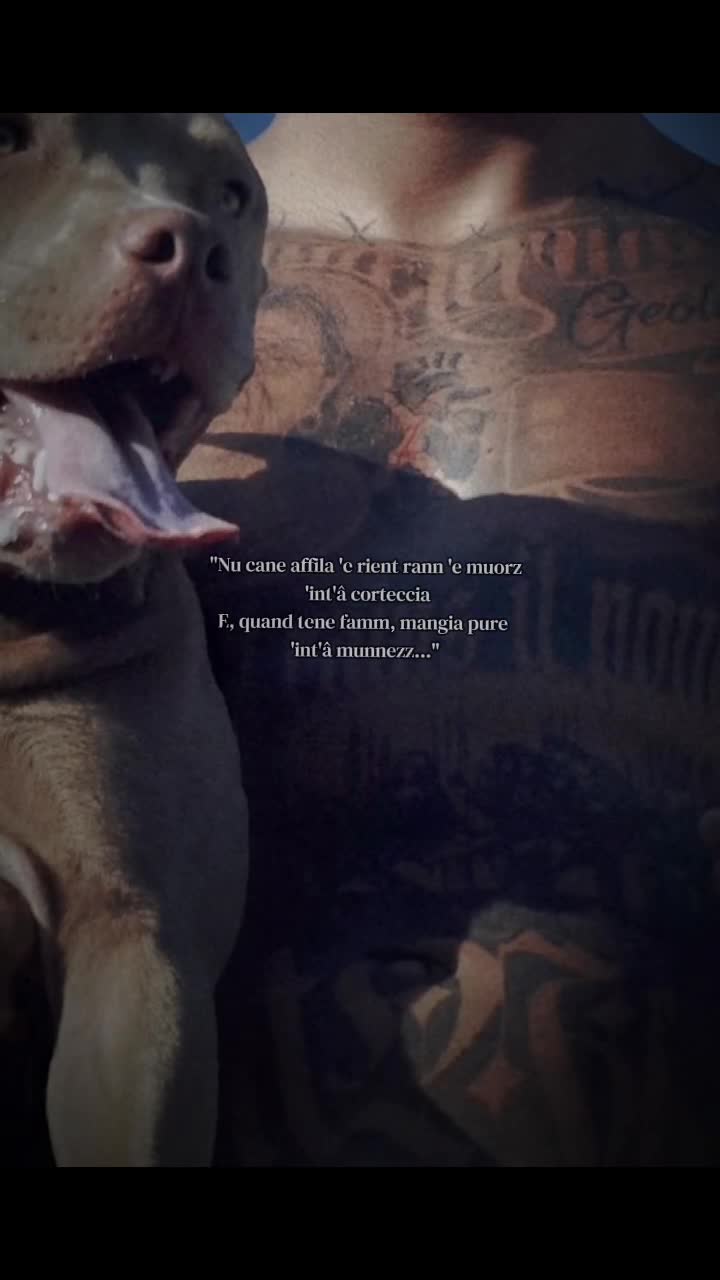 @𝓐𝓷𝓲𝓶𝓪𝓡𝓲𝓫𝓮𝓵𝓵𝓮🔥♐
