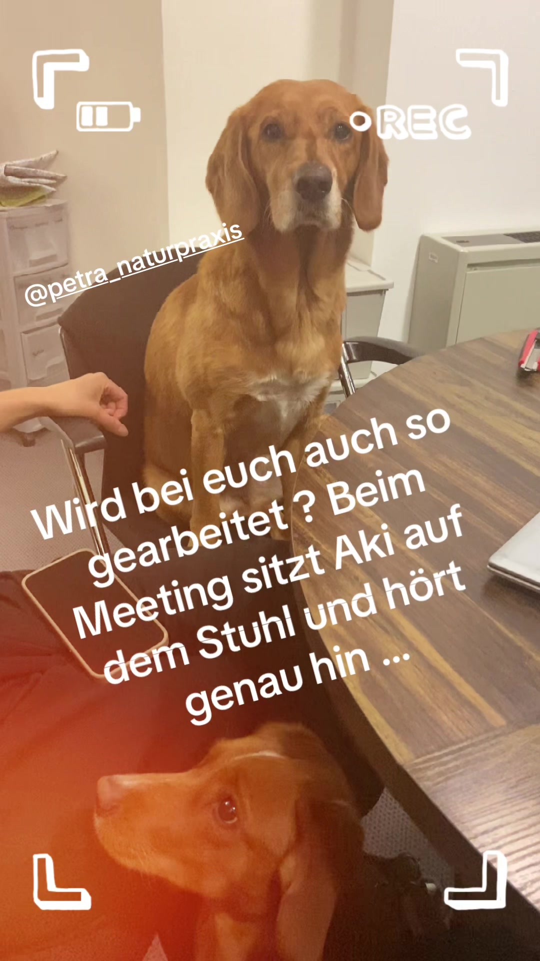 @Fellpflegerei Zentrum