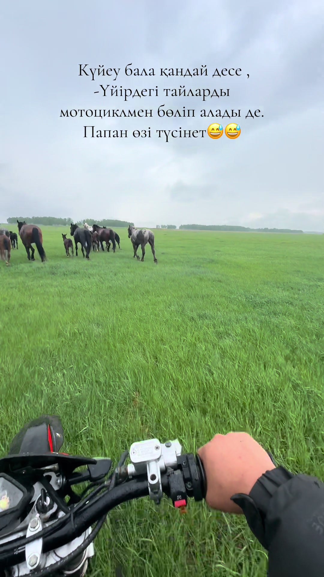 @Какилеев Ескендр