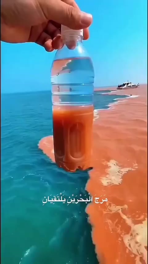 @Cabdirashiid Cusmaan