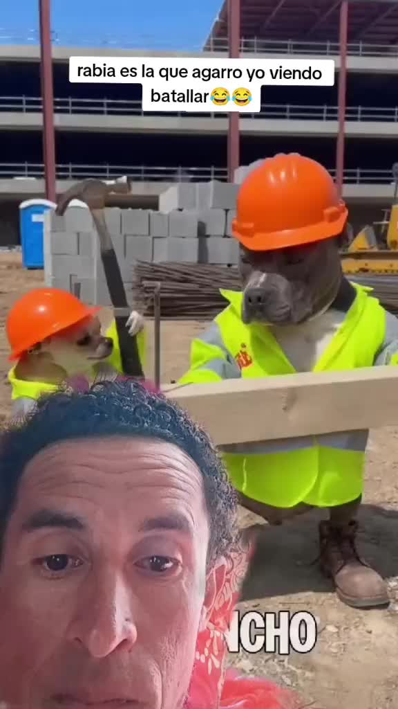 @pisote+504