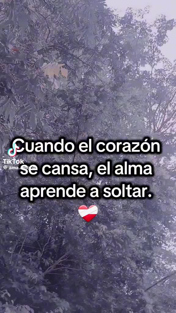 @Sabino Ernesto366