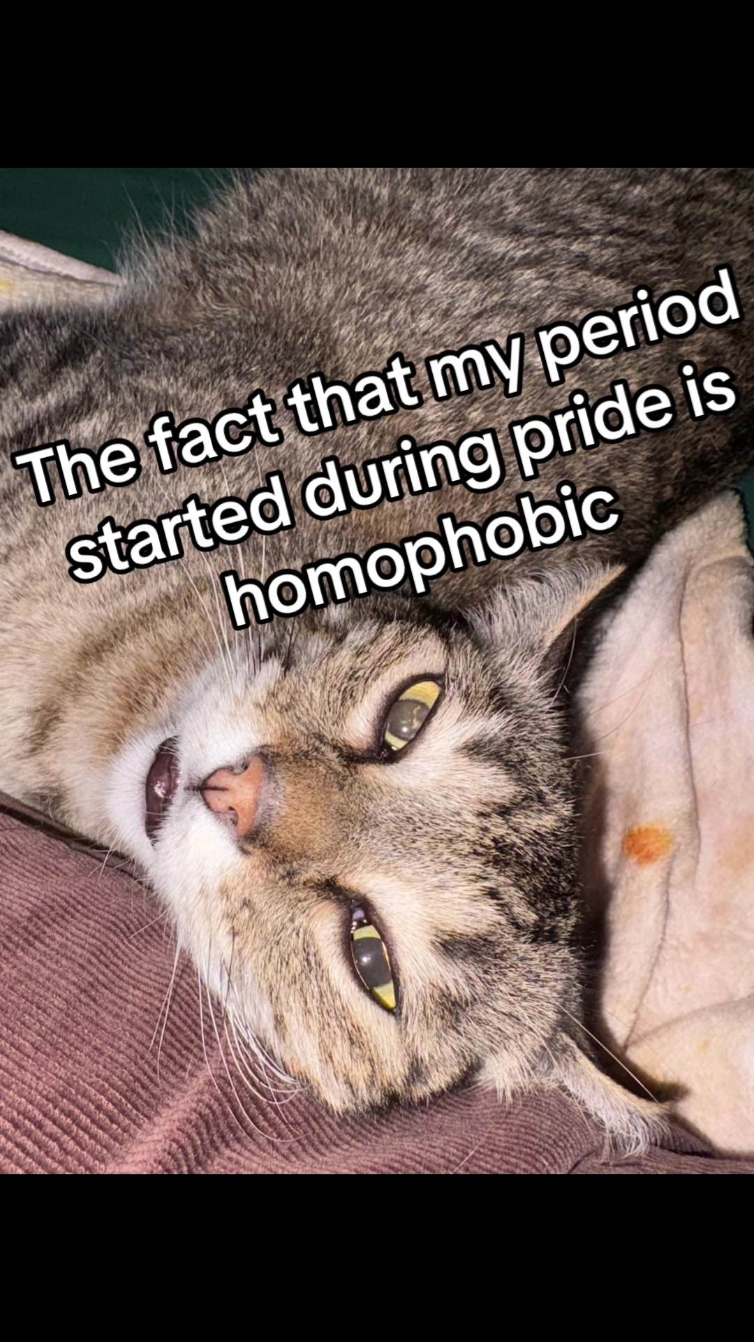 @thecancerwithcancer