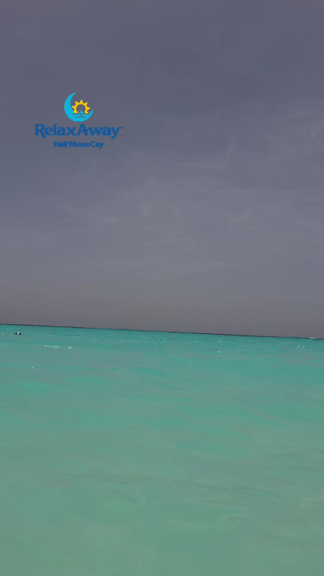 @Dave&Brandys Excursions Travel