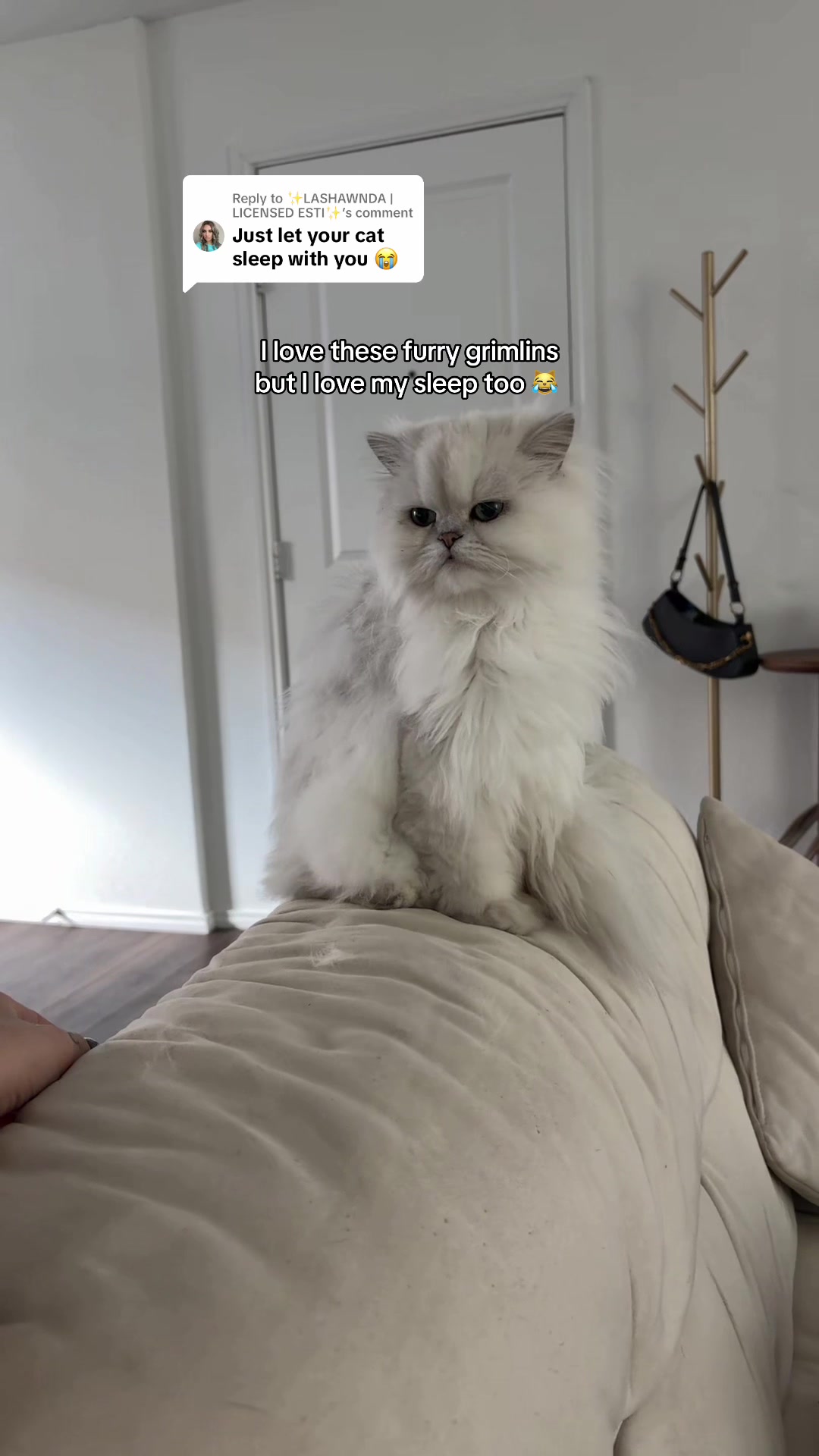 @chelsie
