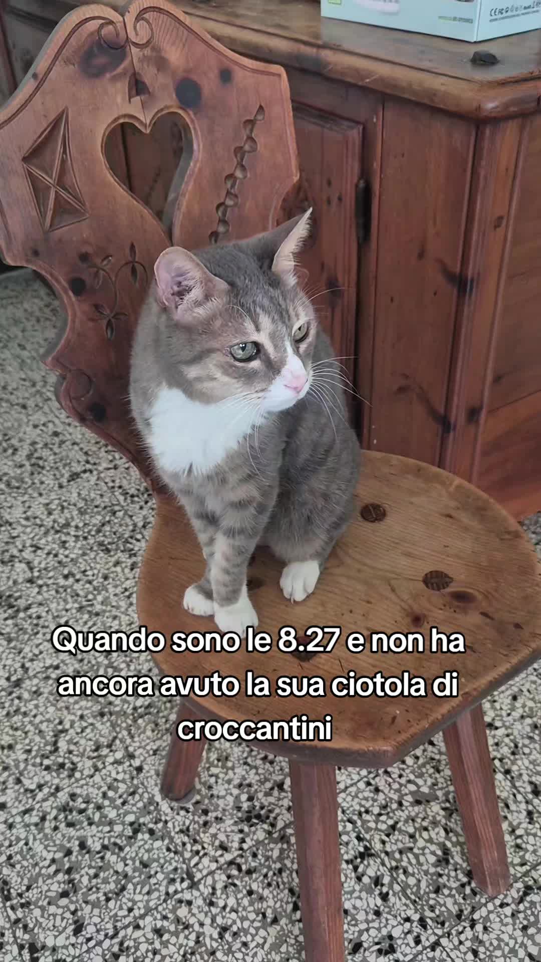 @lorenaefamily