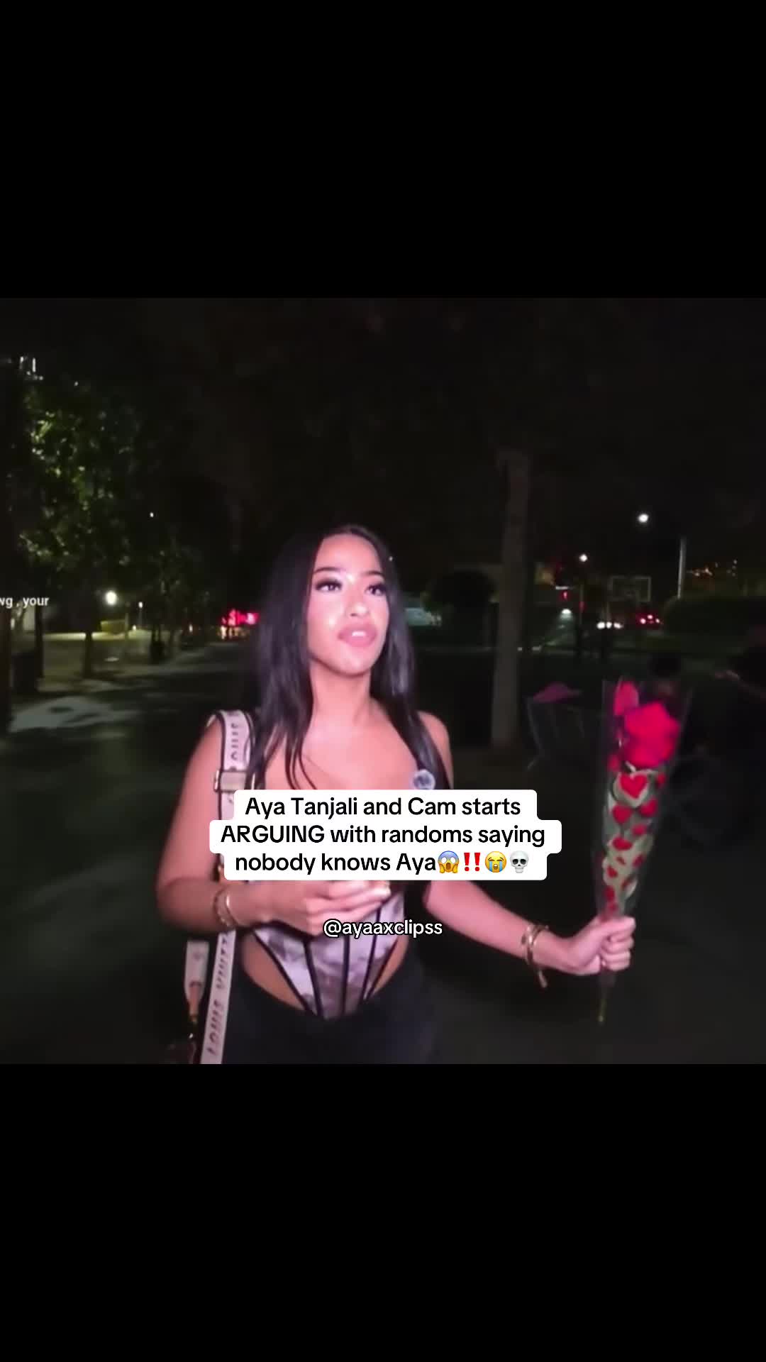 @ayaaxclipss