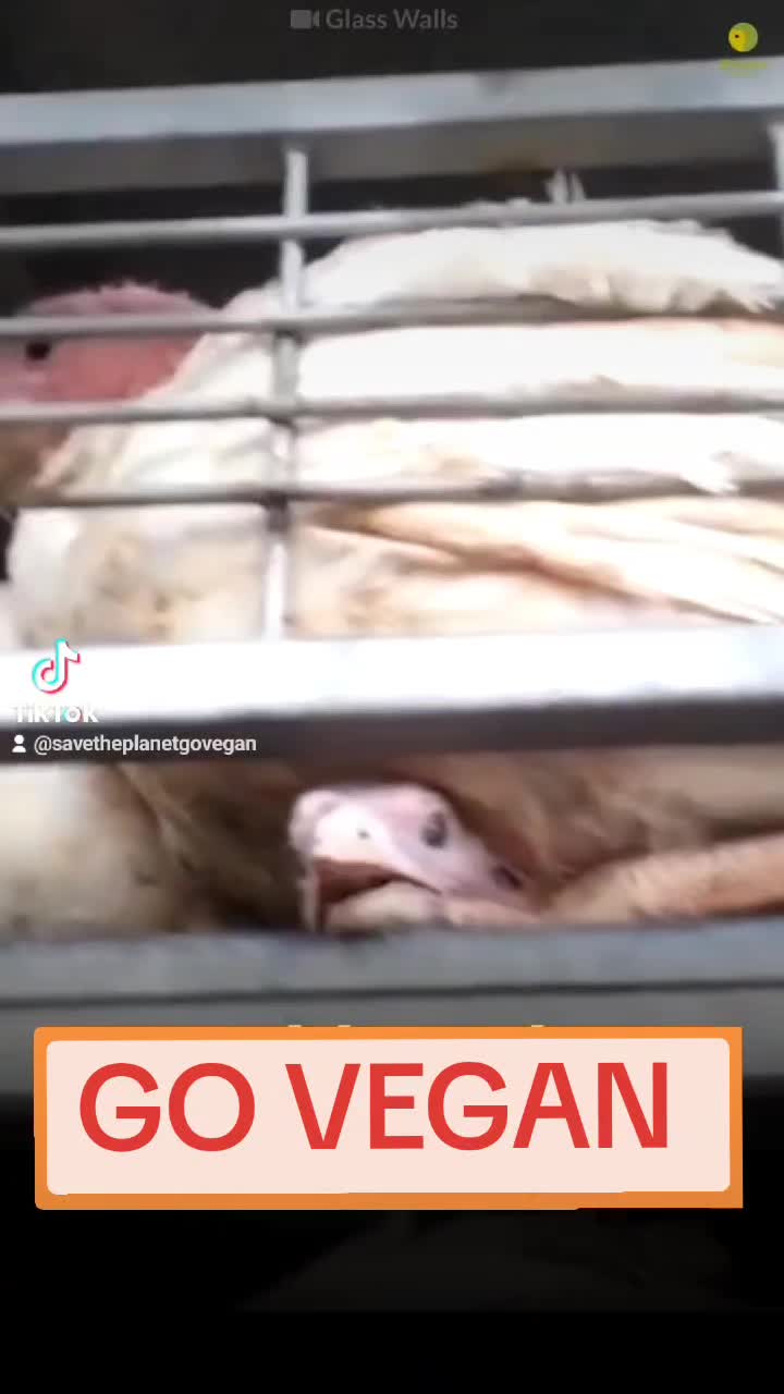 @ru.goodorevil
