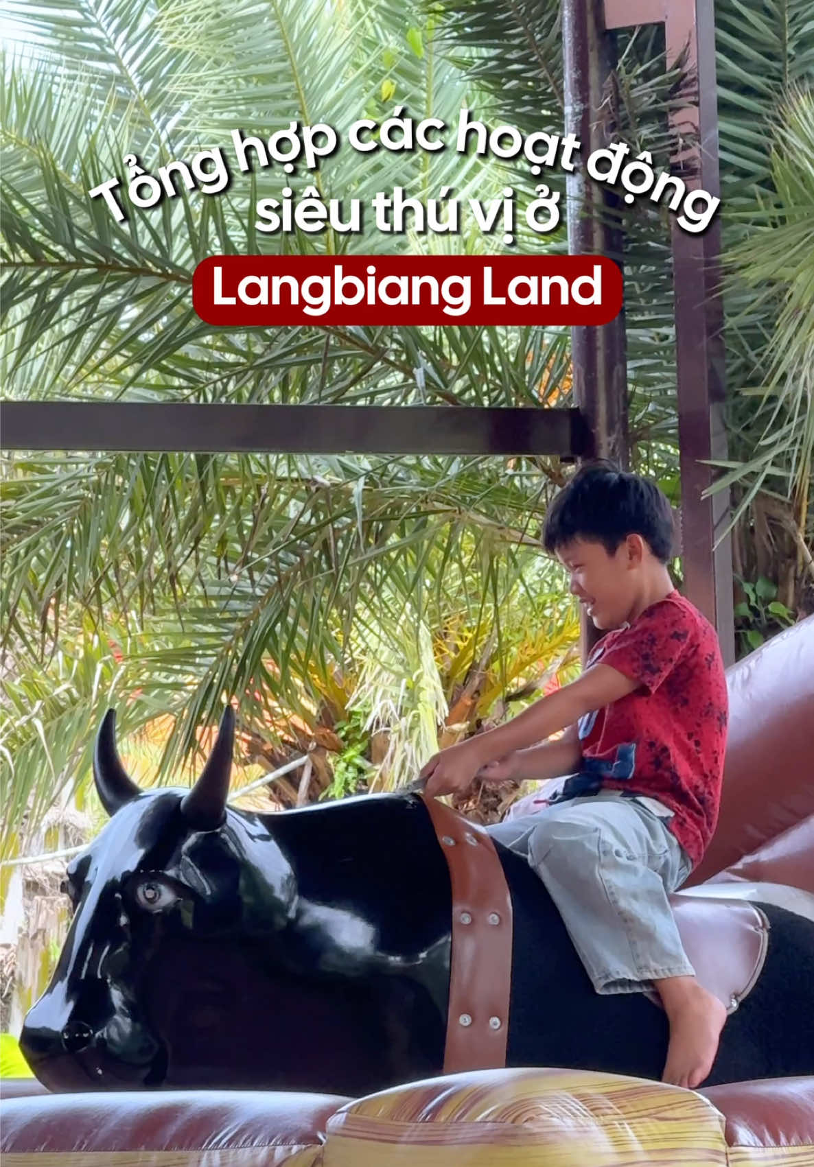 @Langbiang Land