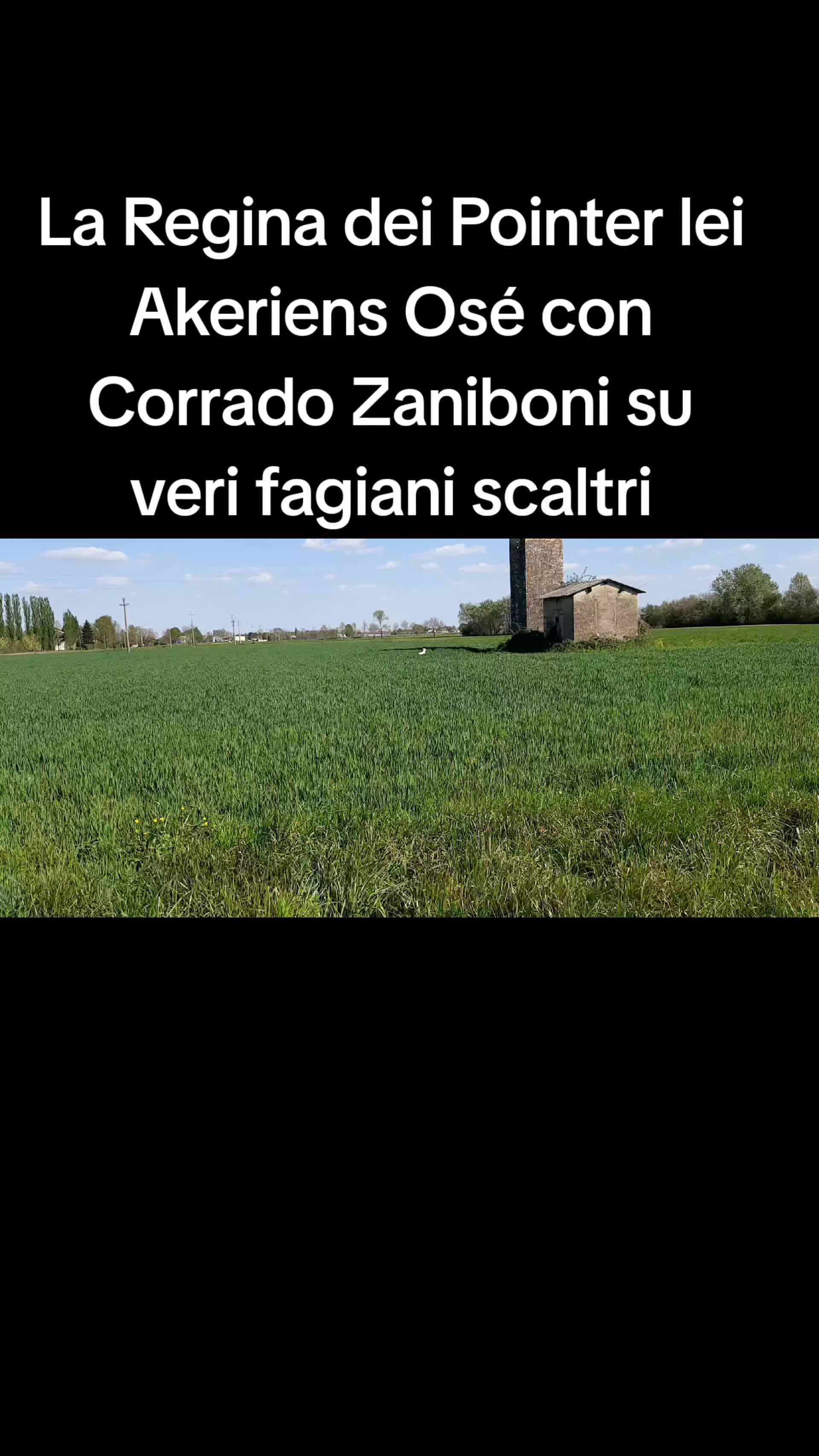 @antoniocasaroricc