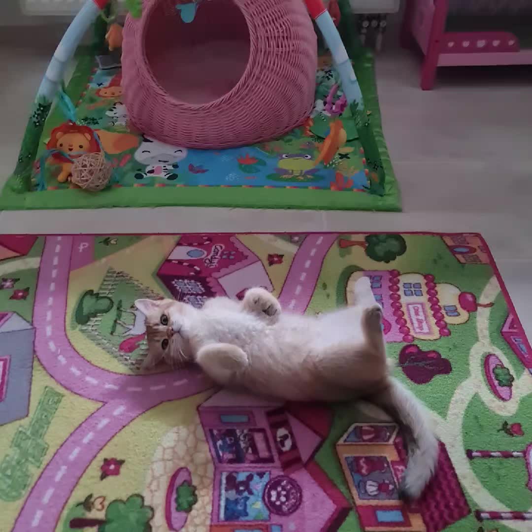 @LanaCats