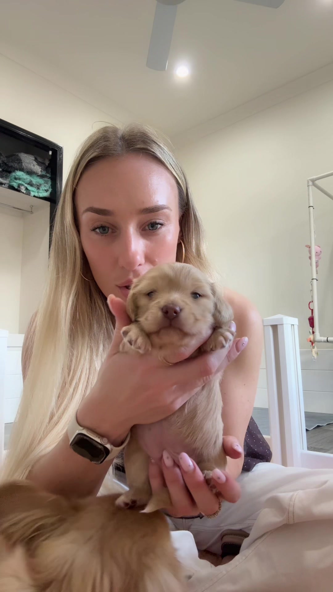 @Dachshund Dynasty