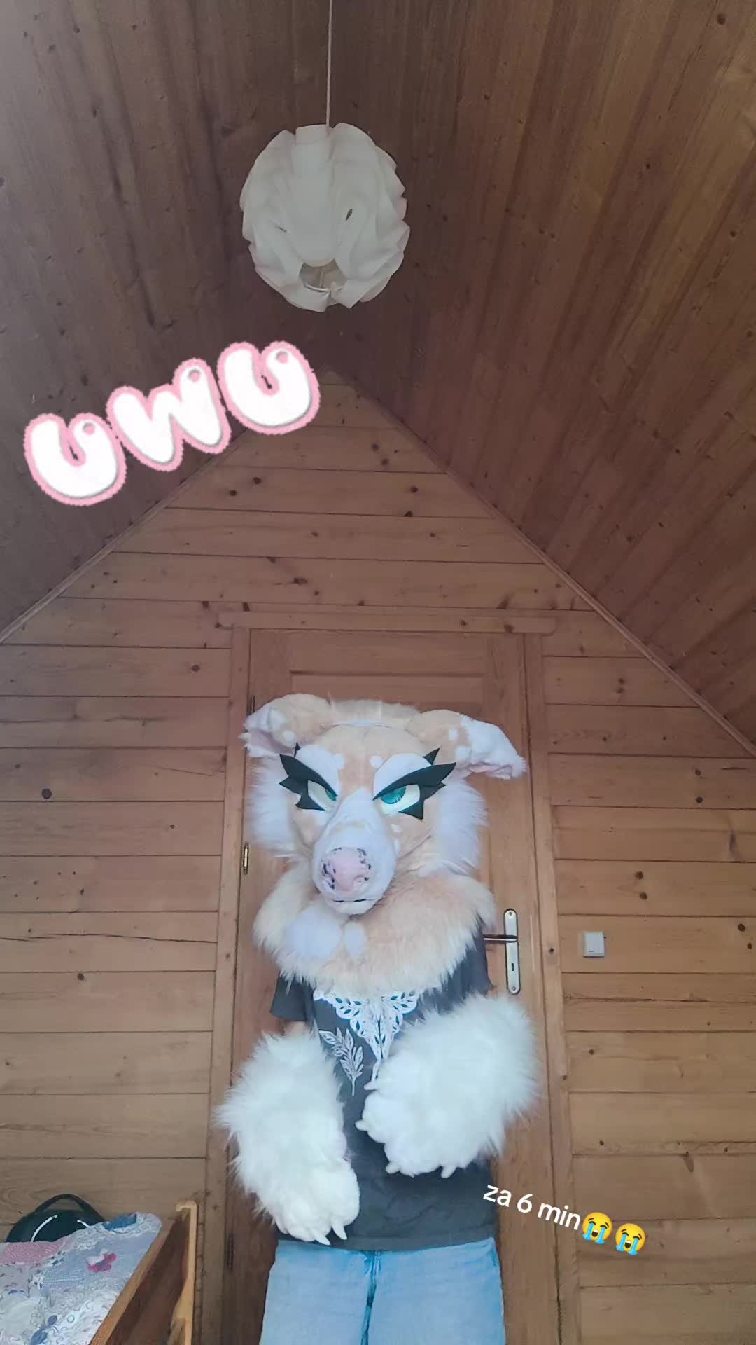 @▀▄▀▄ 𝓡𝓞𝓧𝓲▄▀▄▀
